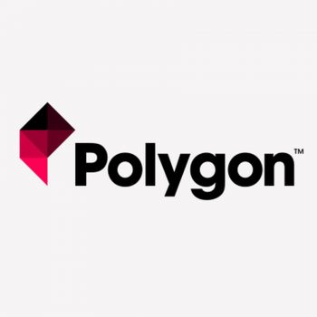 Программное обеспечение Polygon 2.0