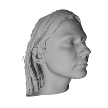 Фотография модели, отсканированной на 3D сканере Thor3D Drake 3 в 1 maxi (1)