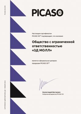 Изображение сертификат официального дилера 2021 PICASO 3DMALL